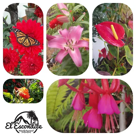 Elescondite Gerendaház *