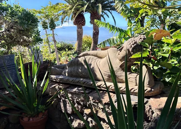 Orman Evi Elescondite *